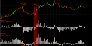 Bears Bulls Power