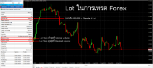 Lot คืออะไร ในการเทรด Forex