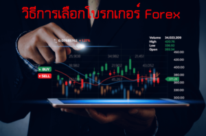 วิธีการเลือกโบรกเกอร์-Forex-ในการเทรด-
