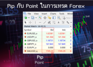 Pip กับ Point คืออะไร ในการเทรด Forex