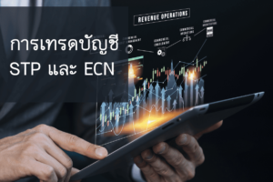 การเทรด ECN STP คืออะไร