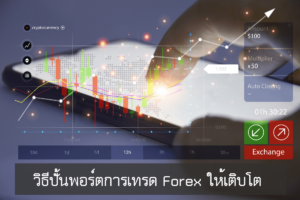 ดูวิธีปั้นพอร์ตให้เติบโต จากการเทรด Forex