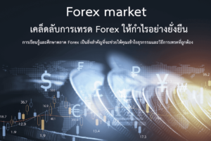 เคล็ดลับการเทรด Forex ให้กำไรอย่างยั่งยืน